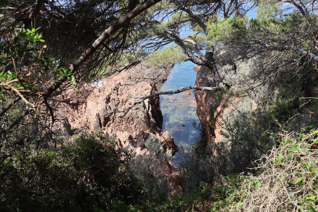frejus velo plage IMG 3340