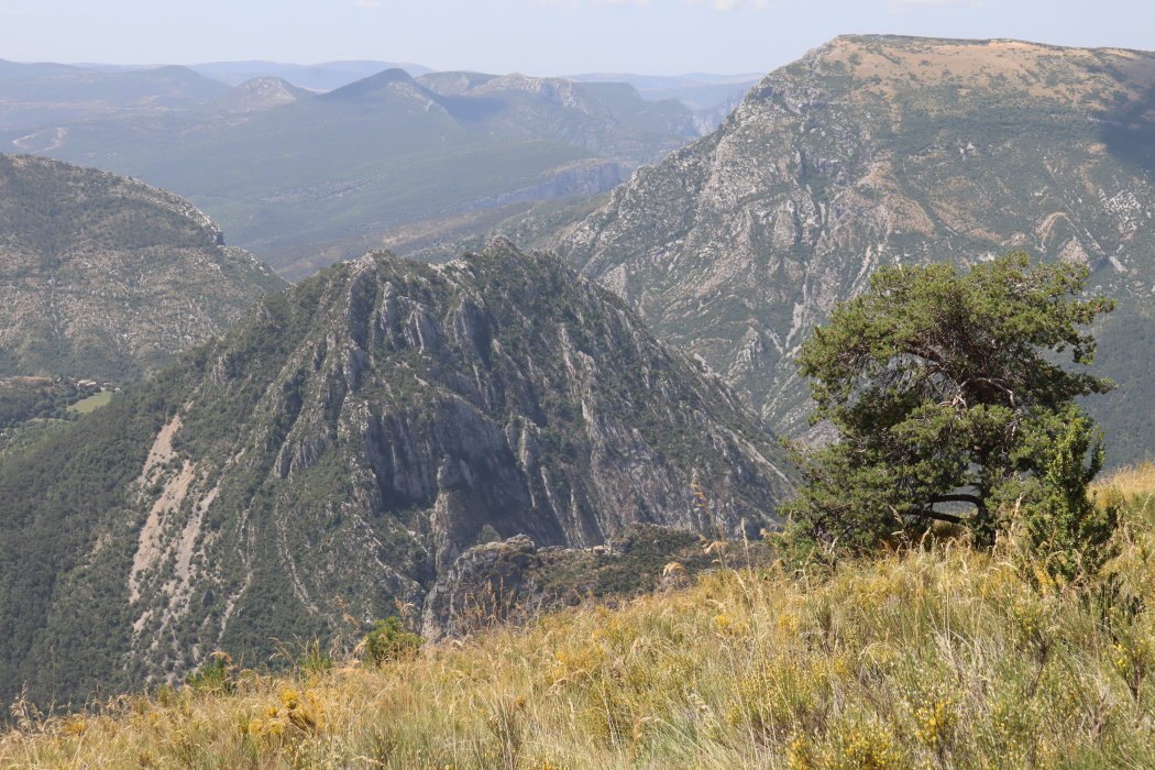 verdon IMG 3545