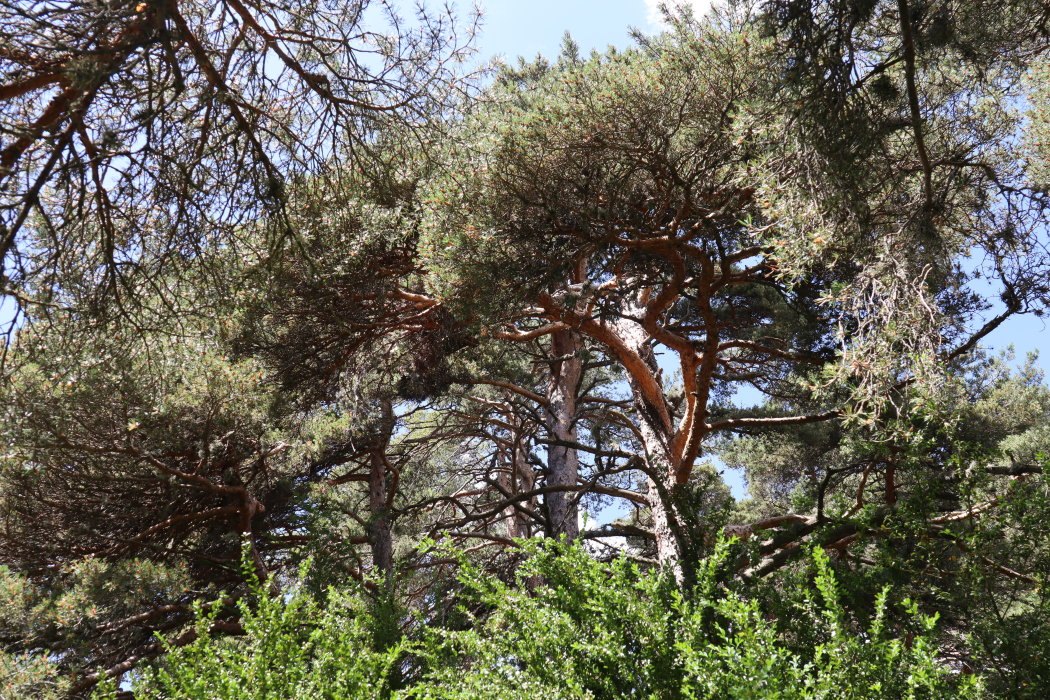 verdon IMG 3556