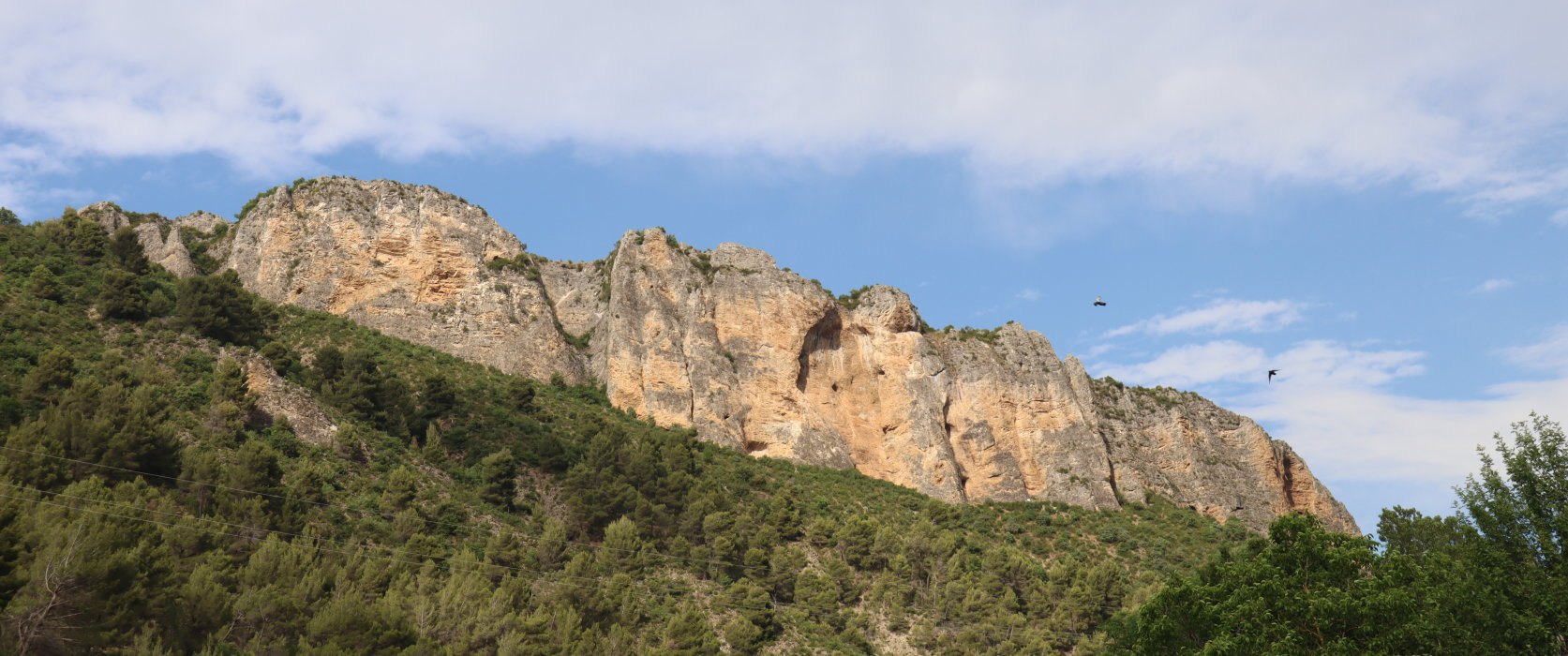 verdon IMG 3610