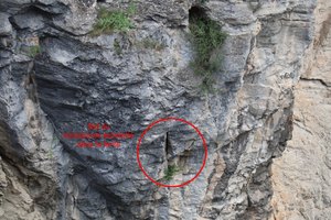 b2 IMG 4031