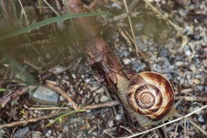 b2 IMG 4037