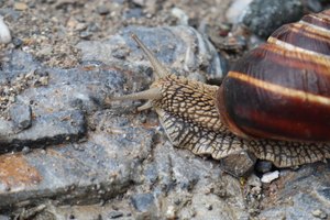 b2 IMG 4038