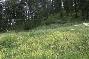 b2 IMG 4059