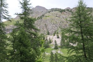 b2 IMG 4062