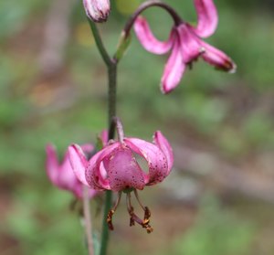 b2 IMG 4071 1 rotated e1656926136424
