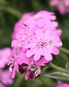 b2 IMG 4082