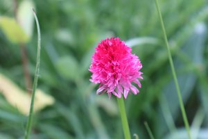 b2 IMG 4172