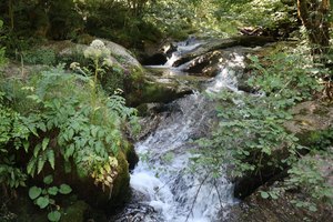 h IMG 5525