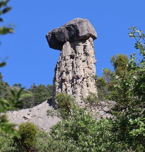 sp IMG 3760