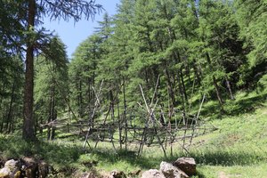 sp IMG 3795