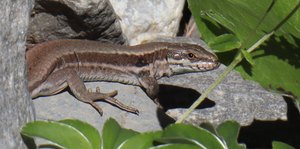 sp IMG 3810