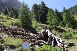 sp IMG 3818