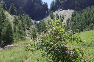 sp IMG 3825