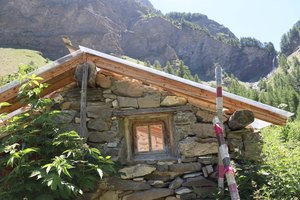 sp IMG 3836