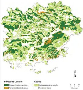 sp forets var