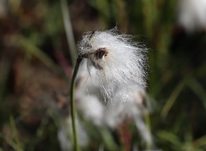 b3 IMG 4243
