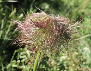 b3 IMG 4248