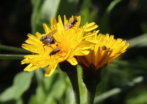 b3 IMG 4252