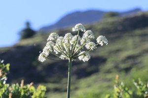 b3 IMG 4259