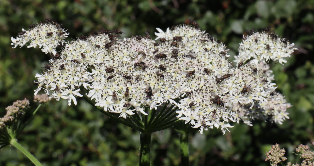 b3 IMG 4266