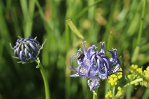 b3 IMG 4303
