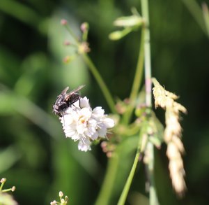 b3 IMG 4306