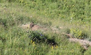 b3 IMG 4327