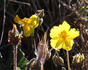 b3 IMG 4332