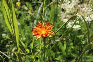 b3 IMG 4337