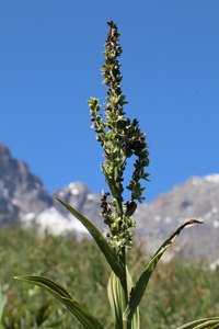b3 IMG 4341 1 rotated e1656920827694