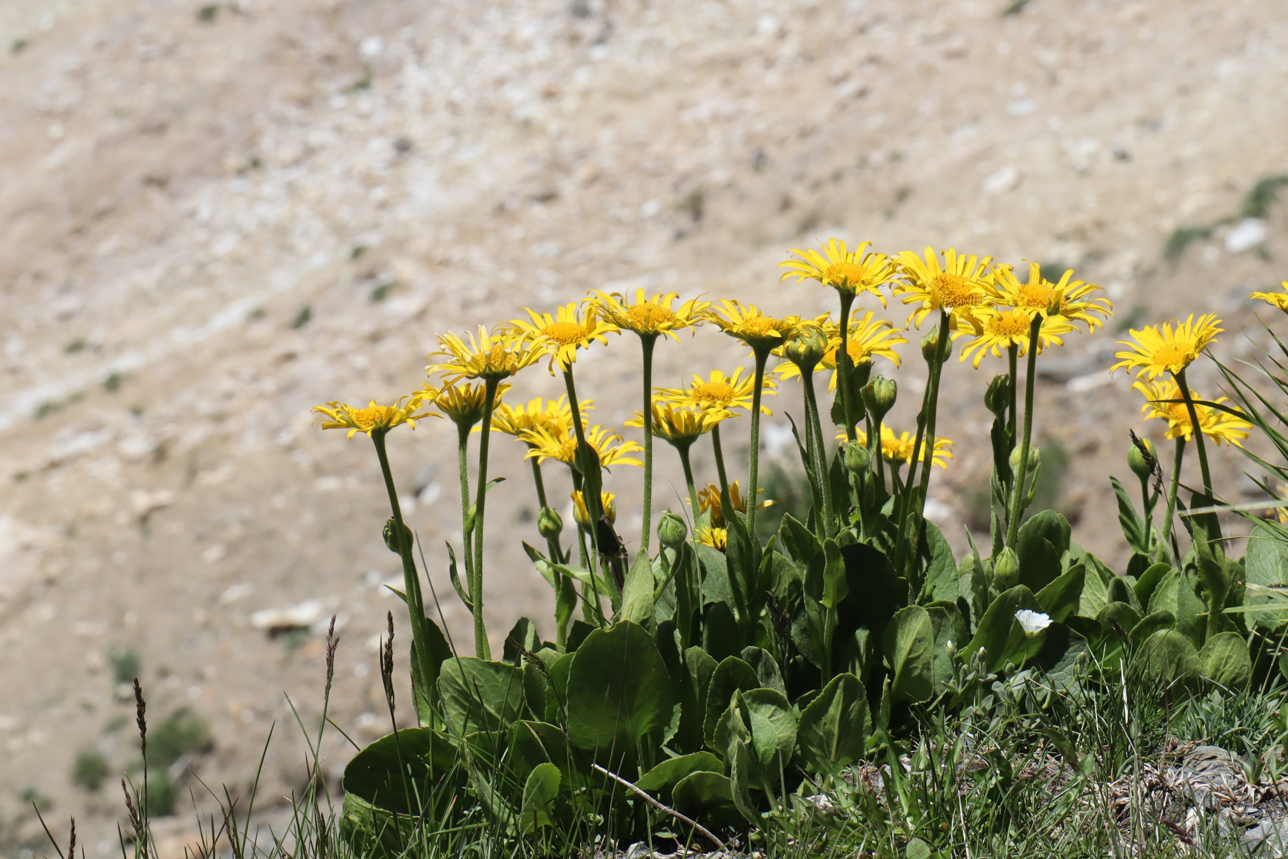 b3 IMG 4351 1