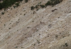 b3 IMG 4352 1