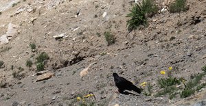b3 IMG 4354 1