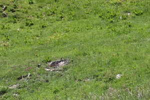 b3 IMG 4366 1