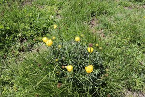b3 IMG 4368 1