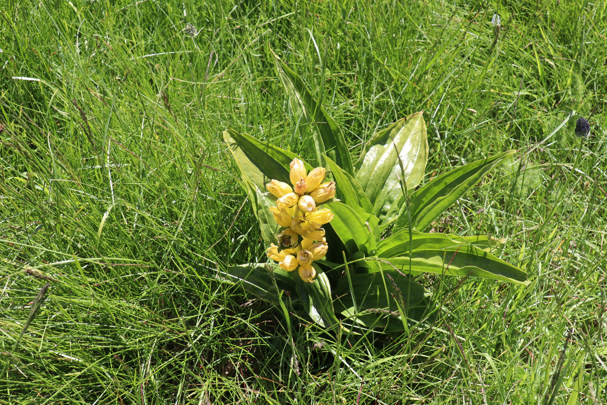 b3 IMG 4371 1