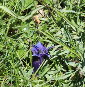 b3 IMG 4375 1