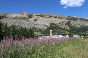 b3 IMG 4391 1
