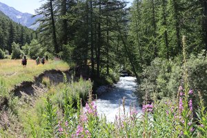 b3 IMG 4392 1