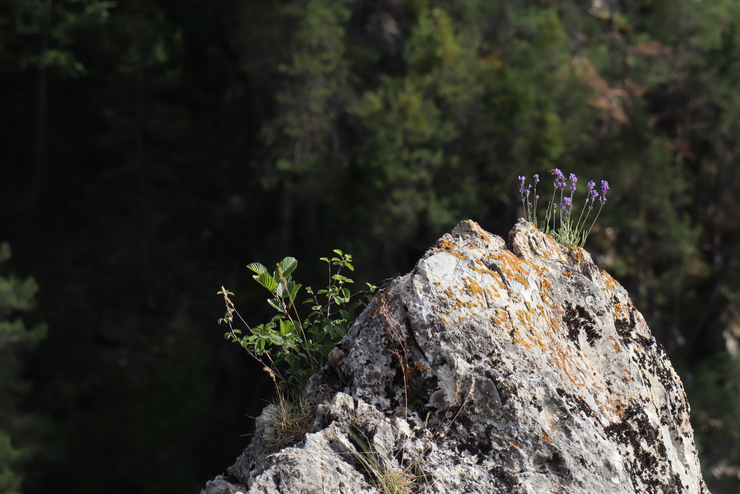 b3 IMG 4422 1
