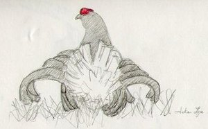 b3 T tras lyre crayon papier et aquarellable