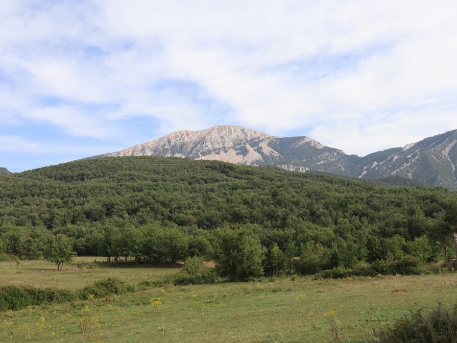 n IMG 5749