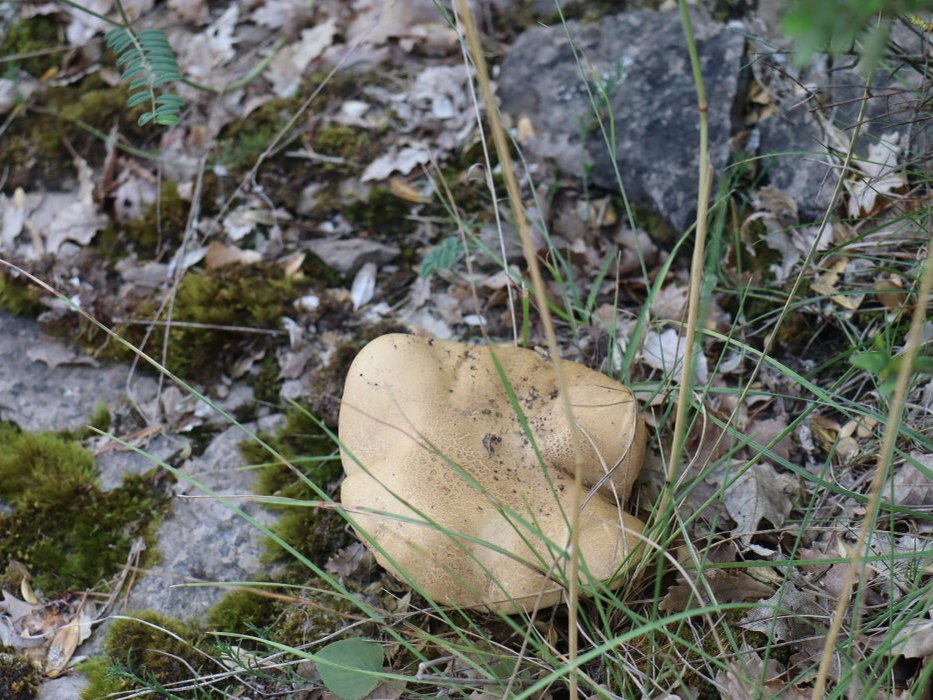 n IMG 5791