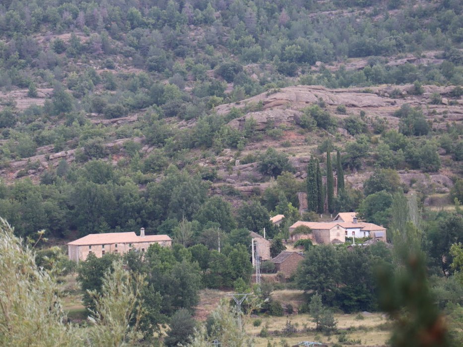 n IMG 5799