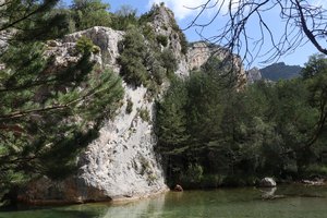 n IMG 5843