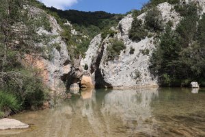 n IMG 5857