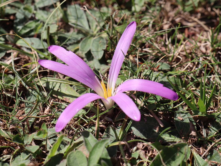 n IMG 5895