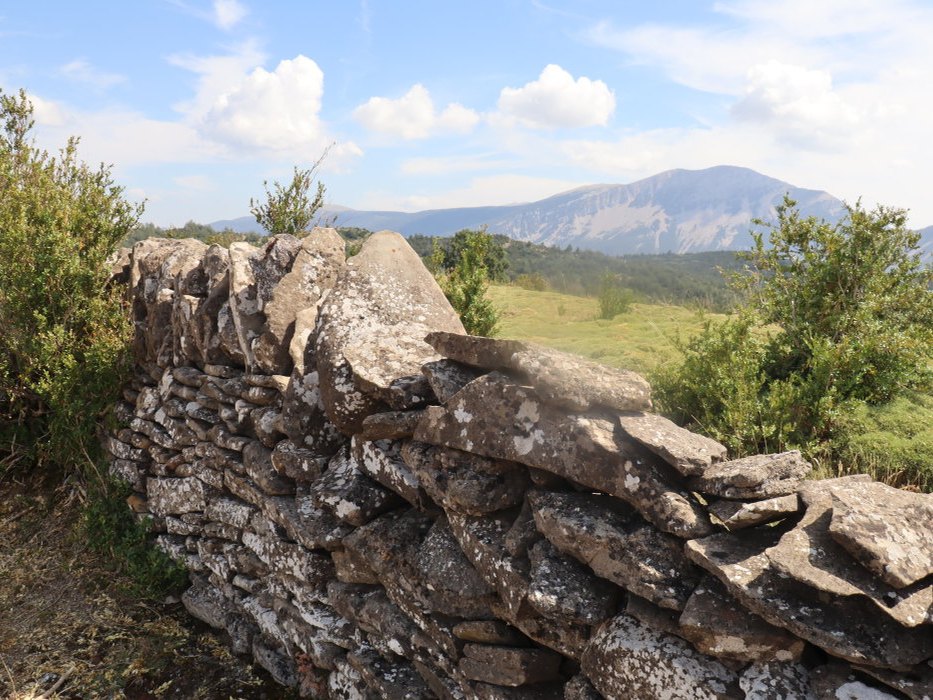 n IMG 5946