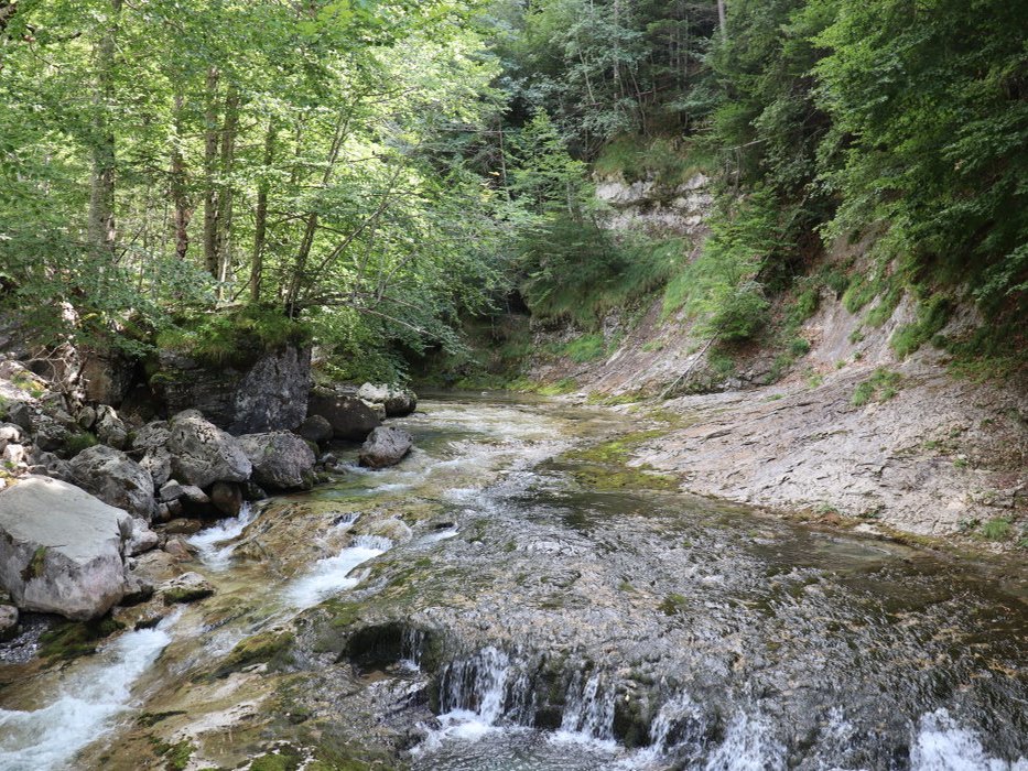 t IMG 5612